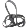 Image de GATES 6PK2213 Courroie Poly-V