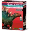 Image de Kit De Fouille   Squelette De Stégosaurus À Déterrer Et Assembler Multicolor