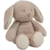 Image de Peluche Veilleuse Sleepy Teddy Ours Caramel Beige