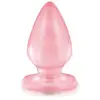 Image de Plug Anal Jelly Plug & Joy Large