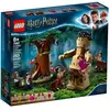 Image de Lego Harry Potter 75967 La Forêt Interdite : La Rencontre D'ombrage Multicolore