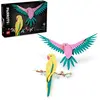 Image de Art La Collection Faune   Les Perroquets Ara 31211 Multicolore