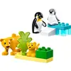 Image de Duplo Familles D'animaux Sauvages : Pingouins Et Lions 10442 Multicolore