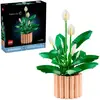 Image de Botanicals Les Fleurs De Lune 11504 Multicolore