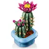 Image de Botanicals Cactus Fleuri 11509 Multicolore