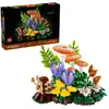 Image de Botanicals Les Champignons Des Bois 11505 Multicolore