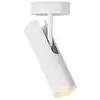 Image de DFTP MIB | Lampe de plafond