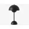 Image de &TRADITION FLOWERPOT VP9 MATT BLACK