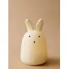 Image de Veilleuse Lapin Winston multicolore