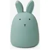 Image de Veilleuse lapin Winston - vert