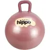 Image de Ballon Sauteur 45cm Pink
