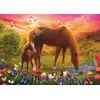 Image de Chevaux Dans Le Pré 500 Pièces Trefl