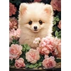 Image de Chiot Spitz Nain dans les Roses 300 Pièces Castorland
