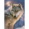 Image de Loup Solitaire 500 Pièces Castorland