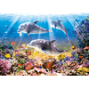 Image de Le Monde des Dauphins 500 Pièces Castorland