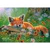 Image de Rêves de Renard 500 Pièces Castorland