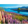 Image de Lac Tekapo, Nouvelle-Zélande 500 Pièces Castorland