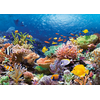 Image de Récif de corail 1000 Pièces Castorland