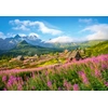 Image de Tatras, Pologne 1000 Pièces Castorland