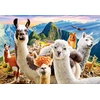 Image de Selfie de Lamas 1000 Pièces Castorland