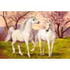 Image de Licornes Amoureuses 1000 Pièces Castorland