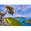 Image de Vue du Lac d'Uri, Suisse 1000 Pièces Castorland