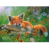 Image de Rêves de Renard 100 Pièces Castorland