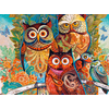 Image de David Galchutt : Hiboux 2000 Pièces Castorland