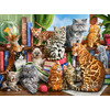 Image de Maison des Chats 2000 Pièces Castorland