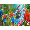 Image de Réunion de Perroquets 2000 Pièces Castorland