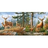 Image de Famille Royale de Cerfs 4000 Pièces Castorland