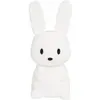 Image de Grande Veilleuse Lapin L Blanche Blanc