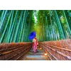 Image de Asian Woman in Bamboo Forest 1000 Pièces Enjoy Puzzle