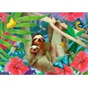 Image de Sweet Sloths 1000 Pièces Enjoy Puzzle