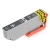 Image de Cartouche compatible EPSON T33XL noir photo