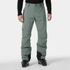 Image de Pantalon de ski Helly Hansen Legendary Gris XL 65704-876