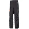 Image de Pantalon de ski Helly Hansen Garibaldi 2.0 Violet XL 65758-660