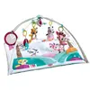 Image de Tapis D'éveil Bébé Avec Arches Princesse Princess