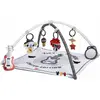 Image de Tapis D’activité Avec Arches Tiny Rockers Tiny Rocker
