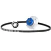 Image de SKF VKMC 02203 Pompe à Eau + Kit De Distribution Nbr. dents: 129