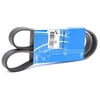 Image de SKF VKMV 6PK1050 Courroie Poly-V
