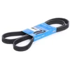 Image de SKF VKMV 6PK1548 Courroie Poly-V