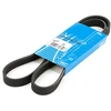 Image de SKF VKMV 5PK1199 Courroie Poly-V