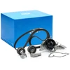 Image de SKF VKMC 01903-1 Pompe à Eau + Kit De Distribution Nbr. dents: 253, avec joints, avec amortisseur tendeur, poulie de tension