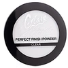 Image de PERFECT FINISH powder 8 gr