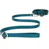 Image de Collier & Laisse Halo