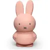 Image de Tirelire Miffy Rose