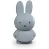 Image de Tirelire Miffy Warm Atelier Pierre Junior 19 cm Bleu TU APMND1517