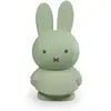 Image de Tirelire Miffy Warm Atelier Pierre Junior 19 cm Vert TU APMND1717
