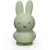 Image de Tirelire Miffy Vert, Noir